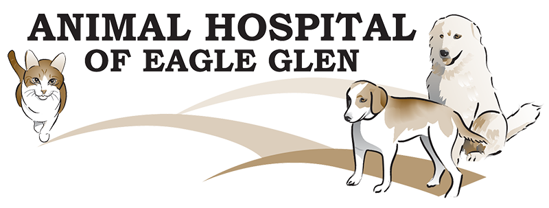 Animal Hospital of Eagle Glen logo